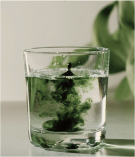 Chlorophyll Water